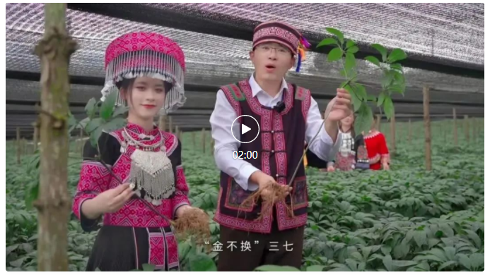 恒行3_恒行3平台-授权注册服务中心